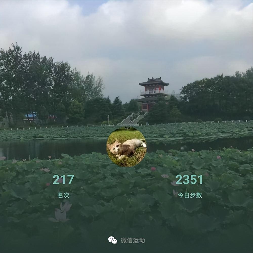 营养健身餐食谱大全_健身运动营养餐_什么叫健身营养餐