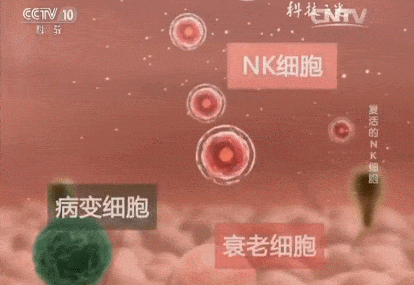 58 岁杭州某公司总经理唐女士：工作家庭