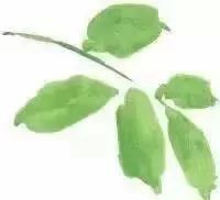 最伟大足球_足球历史上最伟大的5号球星_足球史上最伟大的球员排名