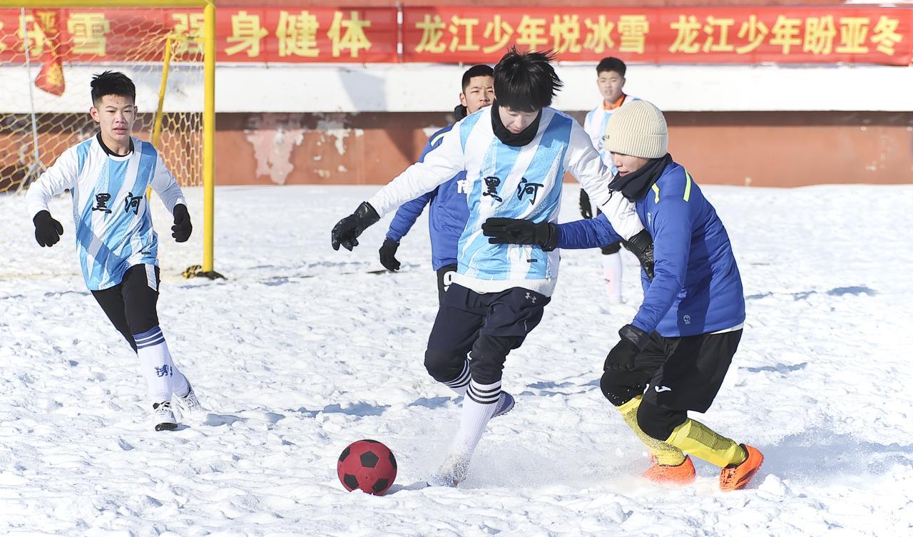 2023-2024 年黑龙江省青少年冰雪